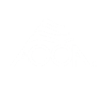 ACCA